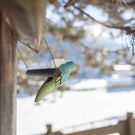 Alojamento de Acomodação e Pequeno-almoço Gulla - Neustift im Stubaital