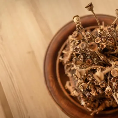 Gulla - Alojamento de Acomodação e Pequeno-almoço