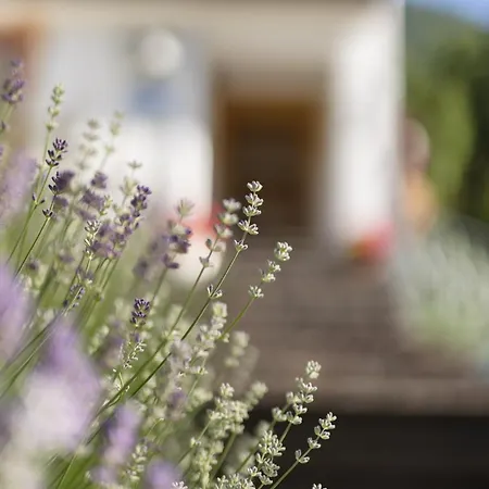 Gulla - Bed and Breakfast Neustift im Stubaital