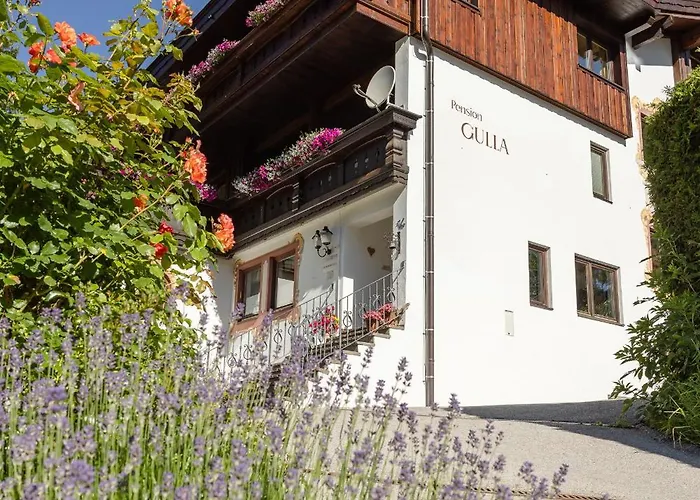 Gulla - Rehoboth Beach