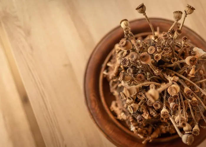 Gulla - Готель типу 